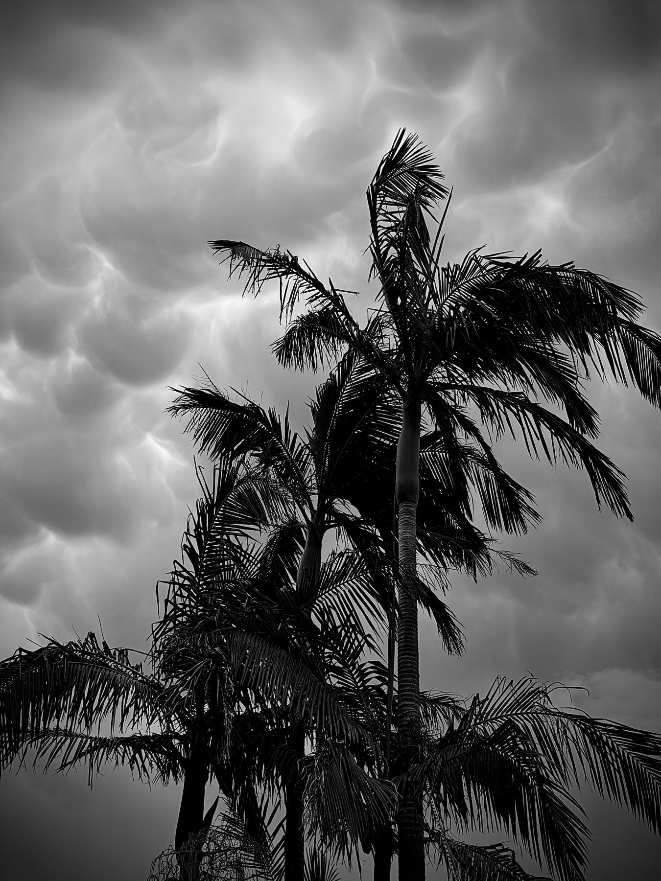 Gymea Bay, Australia